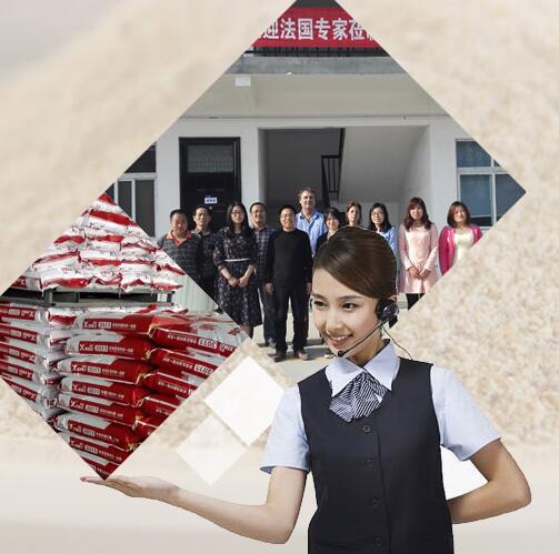 新鄉種母豬料廠家