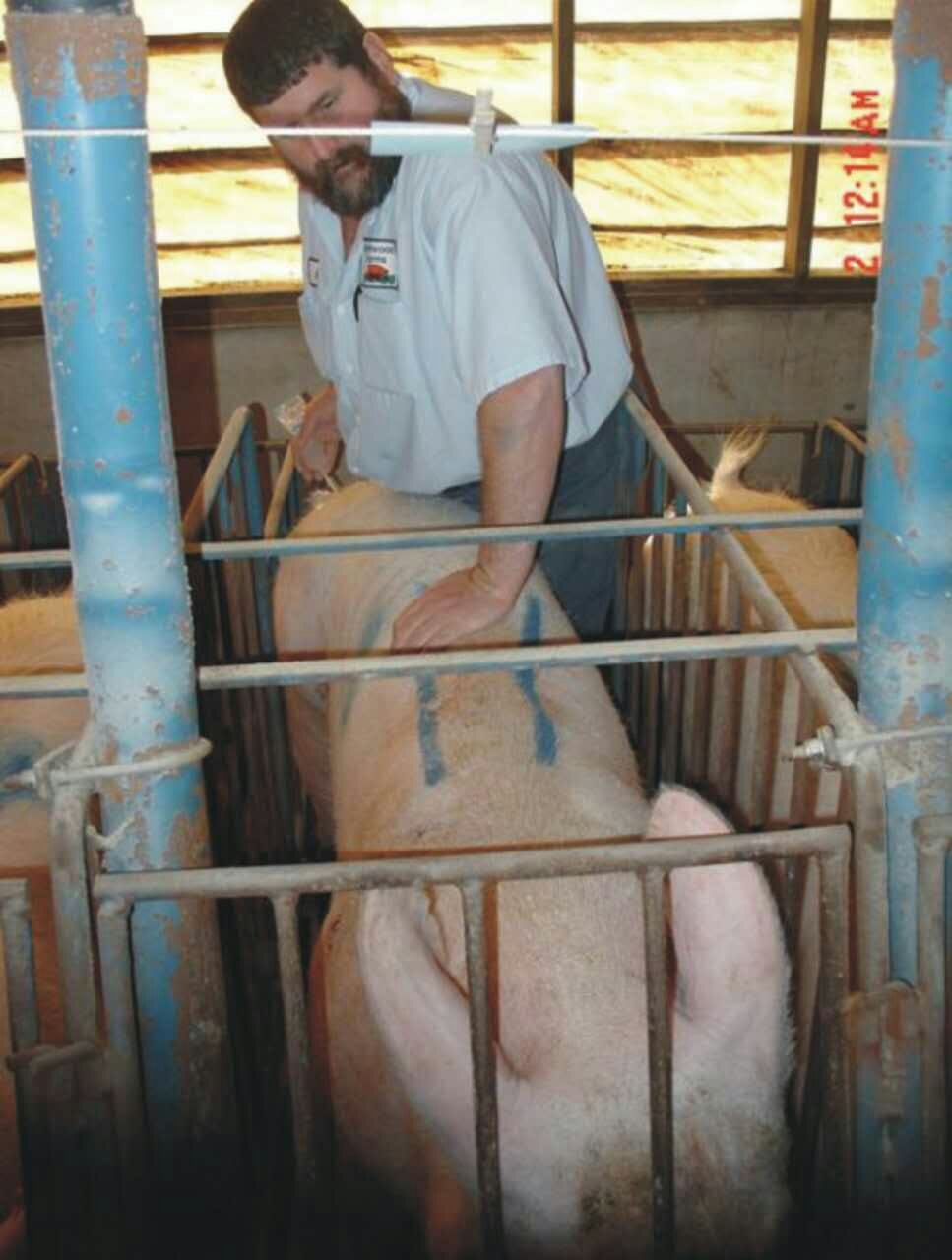 營養專家